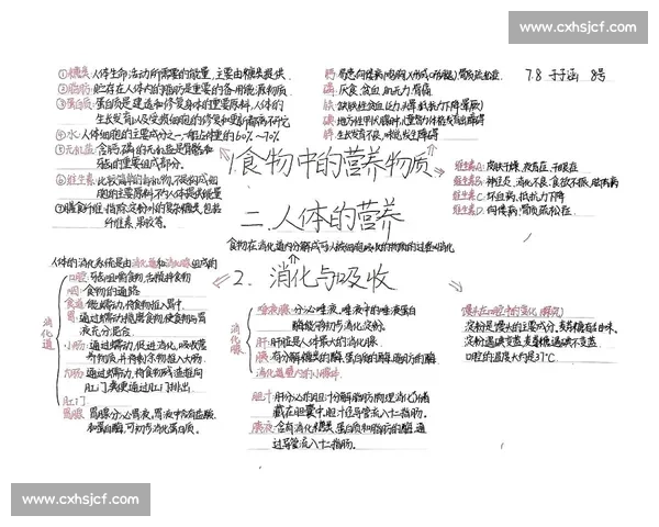 围绕人体日常与运动场景的科学能量补给策略与高效营养搭配指南全