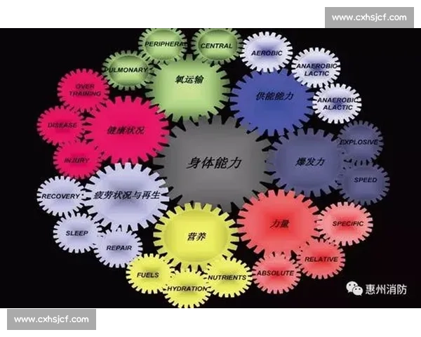 围绕平衡能力提升打造全面体能协调与稳定发展的科学训练新路径化