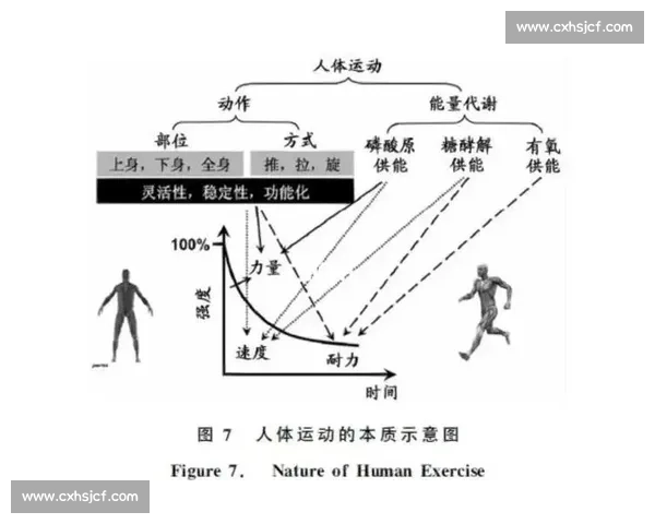 提升运动表现与体能的系统训练方法与效果评估研究